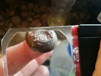 Button 2.webp
