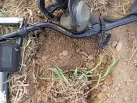 field hunt 008.webp