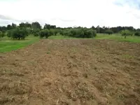 field hunt 011.webp