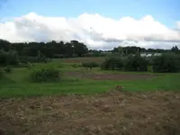 field hunt 013.webp