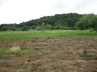 field hunt 015.webp