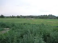 field hunt sun 005.webp