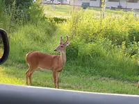 20140727_185021.webp