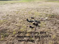 Park Finds 8-30-14 007.webp
