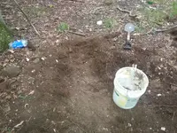 Paydirt2.webp