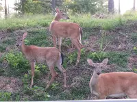 20140727_185141.webp