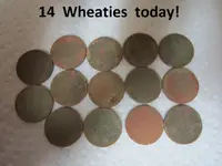 Park Finds 8-30-14 013.webp