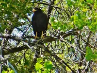 DSCN4776.webp