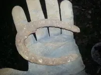 Tinyshoe.webp