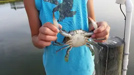 20140721_190747.webp