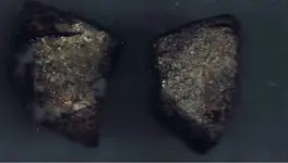 samples from one of the mines of Tayopa.webp