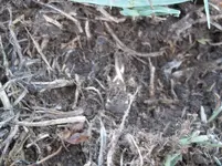 100_2652.webp