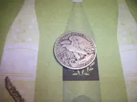 Silver Dollar Back.webp