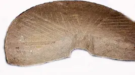 grist 3jpg.webp