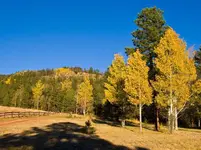 FRONT-YARD.webp
