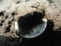 Merc_21D_in_clod.webp