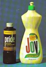 Pride and joy.webp