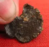 crappy coin.webp
