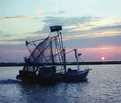 boat (2).webp