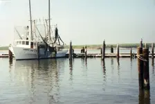 shrimp trawler (2).webp