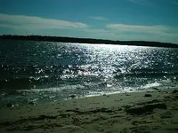 SunonWater.webp