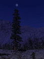 sample for ash4.gif