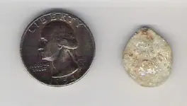 token and coin.webp