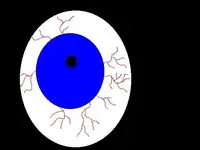 eyeball.webp