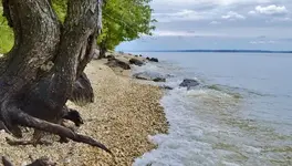 _DSC0023 - Copy (640x365).webp _DSC0023 - Copy (640x365).webp