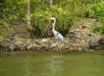 _DSC0072 (640x471).webp _DSC0072 (640x471).webp