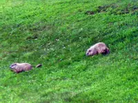 TN6538.webp TN6538.webp