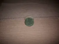 1900 penny front.webp
