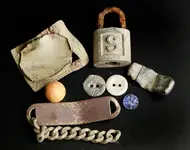 cotton field finds.webp
