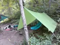 ForumRunner_20140817_184227.webp