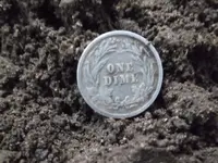 DSCF1229.webp