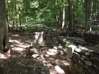 DSCF1233.webp