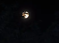 super moon fourteen_edited-1.webp