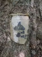 DSCF1234.webp