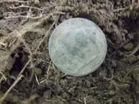 DSCF1236.webp