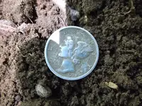 DSCF1241.webp