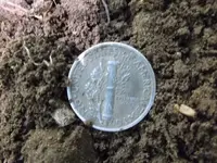 DSCF1242.webp