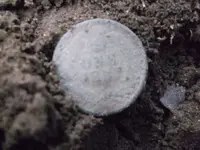 DSCF1248.webp