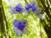 DSCN8746.webp