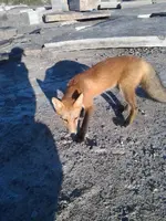 2014-09-03 08.18.44.webp