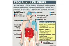 ebola-graphic.webp