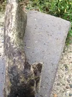 image-1080207288.webp