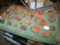 rocks 5.webp