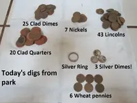 Park Finds 8-3-14 002.webp