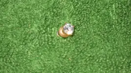 Possible Diamond Sept. 6, 2014 002.webp