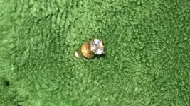 Possible Diamond Three 001.webp